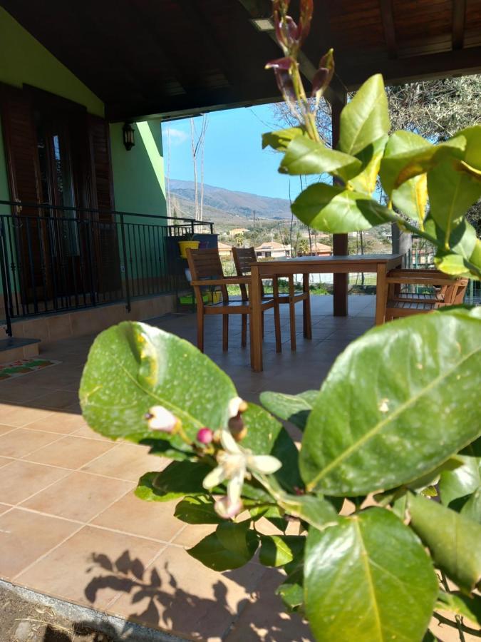 Villa Etna Green House à Zafferana Etnea Extérieur photo