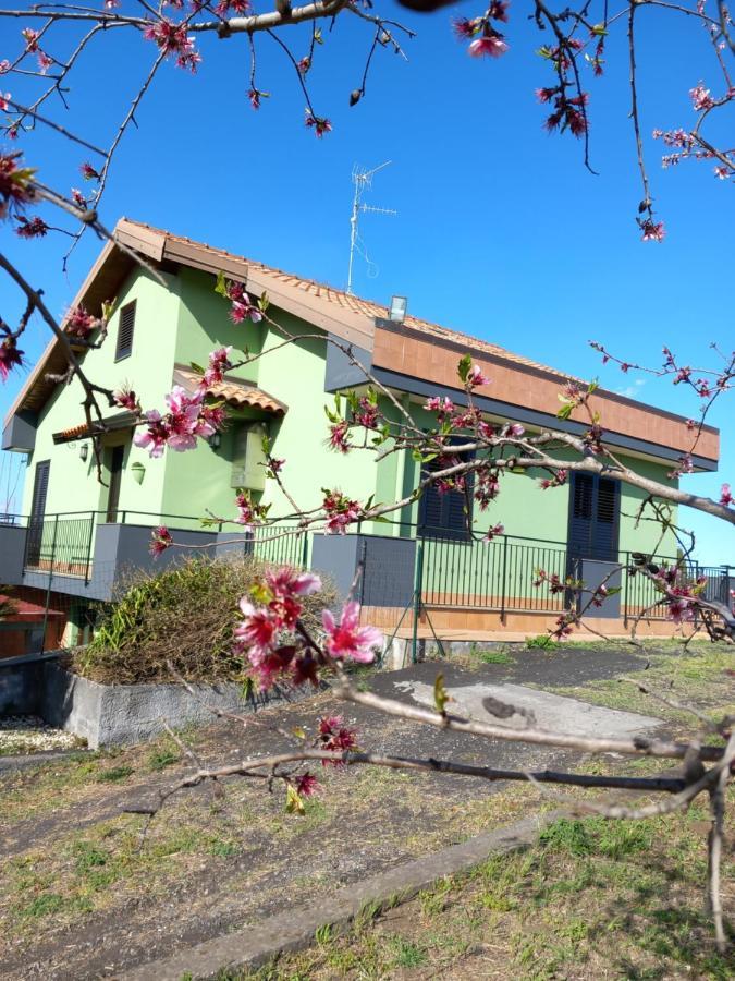 Villa Etna Green House à Zafferana Etnea Extérieur photo